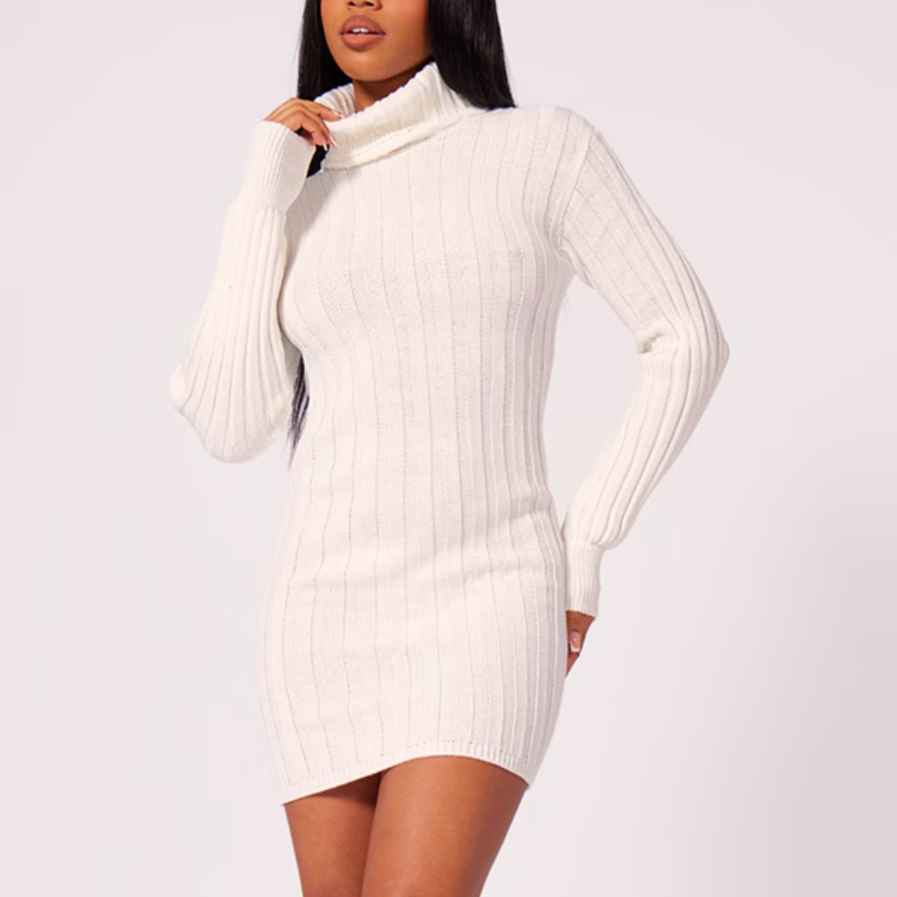 PLT Knitted Roll Neck Sweater Dress